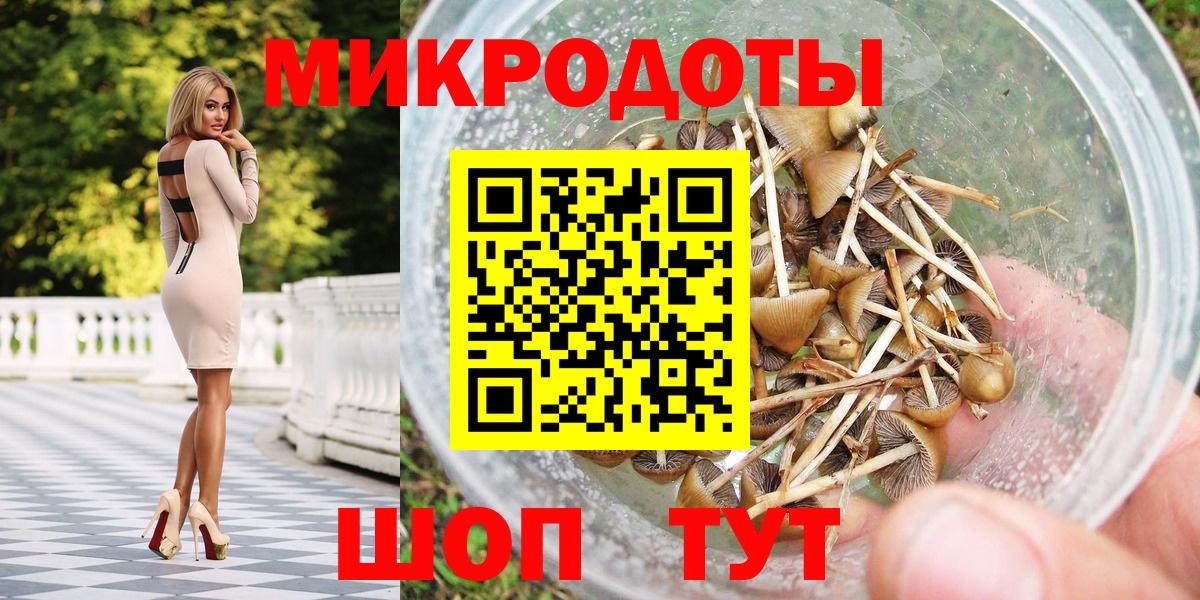 Псилоцибиновые грибы Magic Shrooms Будённовск