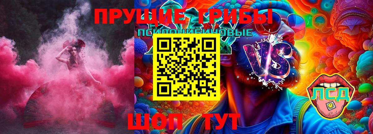 Будённовск  Галлюциногенные грибы Psilocybine cubensis  Вход с VPN 