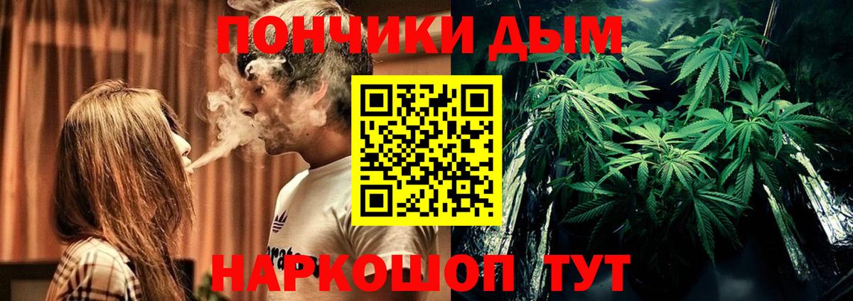 Бошки марихуана Ganja Будённовск