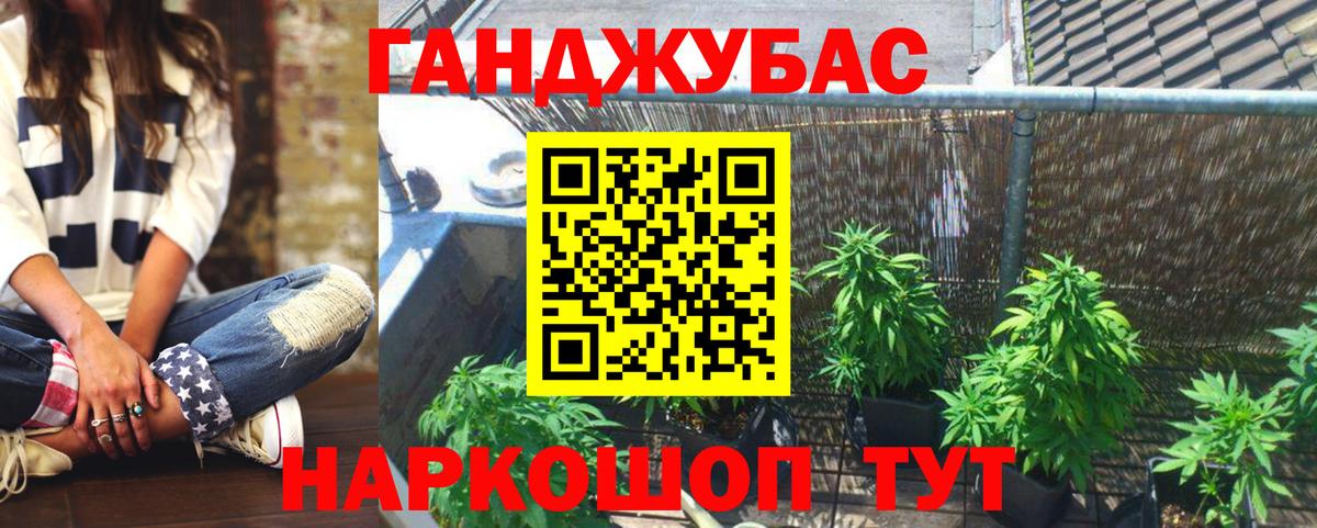 Будённовск  Шишки марихуана семена  Шишки марихуана планчик  Вход с VPN  Шишки марихуана семена 